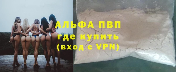 стаф Медвежьегорск
