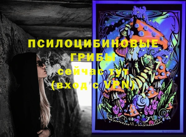 мдпв Майский