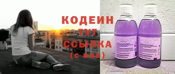 мдпв Майский