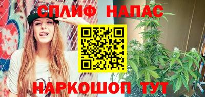 a pvp Камышлов