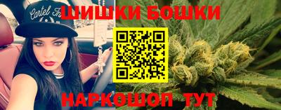 a pvp Камышлов