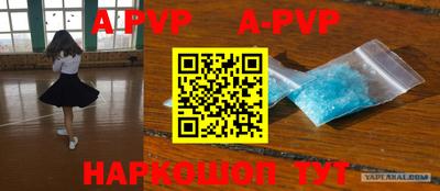 a pvp Камышлов