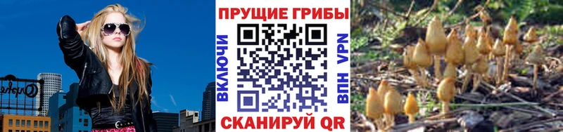купить  цена  Копейск  blacksprut ONION  Псилоцибиновые грибы Psilocybe 