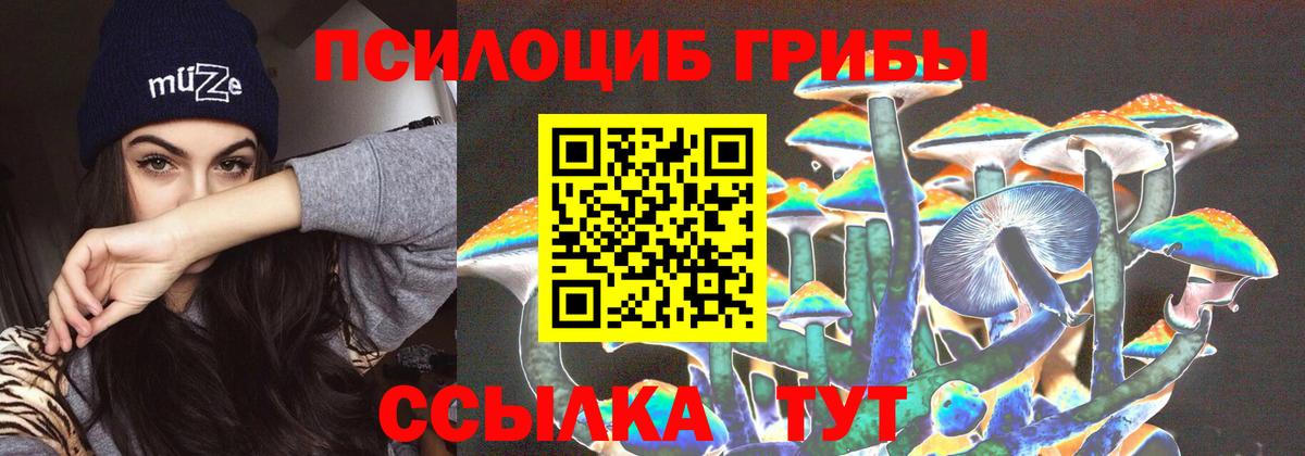 Псилоцибиновые грибы GOLDEN TEACHER Копейск