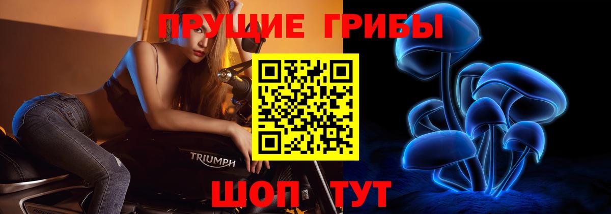 дарнет шоп  Псилоцибиновые грибы мухоморы  Копейск  Вход с VPN  Галлюциногенные грибы Cubensis 